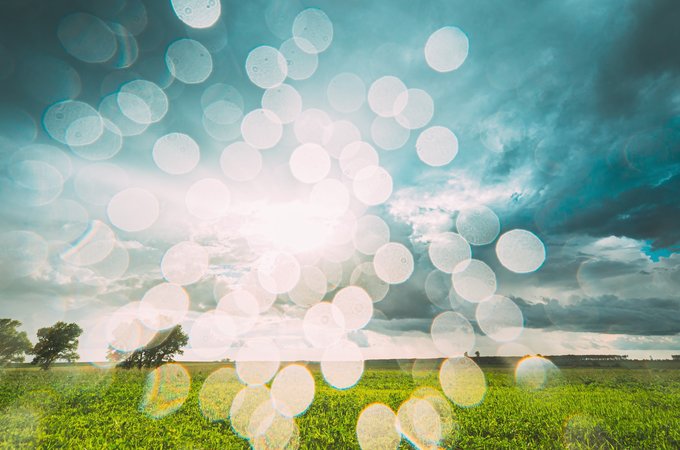raindrops over green field