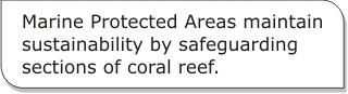 Marine Protected Areas maintain sustainability by safeguarding sections of coral reef. 