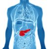 Combination drug therapy shrinks pancreatic tumors in mice