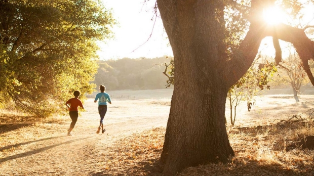 Joggers in morning light