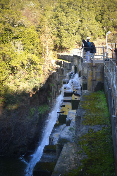 Media representatives were given a tour of the Searsville Dam by members of the Searsville Steering Committee and the Searsville Alternative Study Working Group.