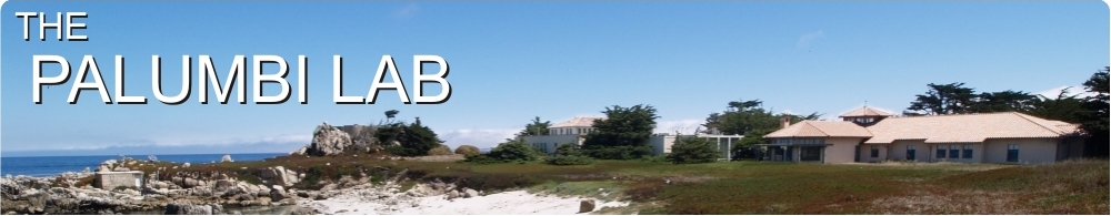 Palumbi Lab