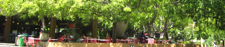 [Photo: Tresidder patio; Source: Stephen Arod Shirreffs]